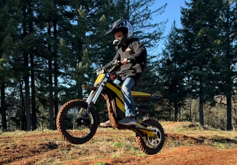 Heybike Villain electric dirt bike full suspension system for rough terrain riding