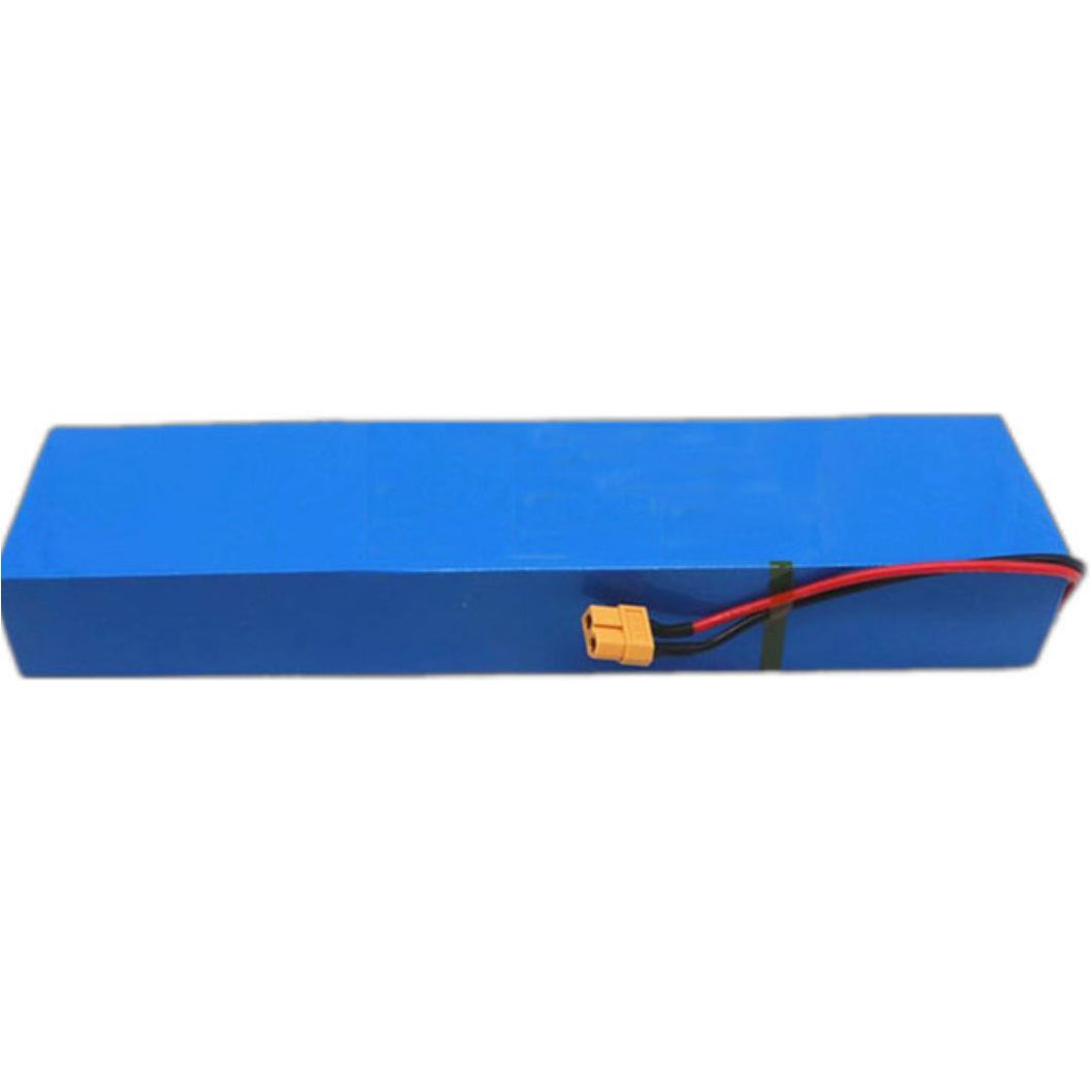 P-M2 36V 10AH BATTERY - EVORIDE CANADA